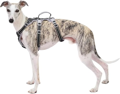 Huntboo Hundegeschirr Ausbruchsicher, Panikgeschirr Hund, Reflektierender Gurt mit Gepolstertem Griff, Atmungsaktiv, Verstellbare Weste für Große Hunde, die Spazieren Gehen,und Rennen (Schwarz, L)