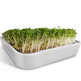 ZELLGUT® Kressesieb, Kresse Anzuchtschale, Keimschale - 12cm - Keramikschale + Edelstahlsieb - Keimgerät für die Anzucht von Microgreens, Keimsaaten