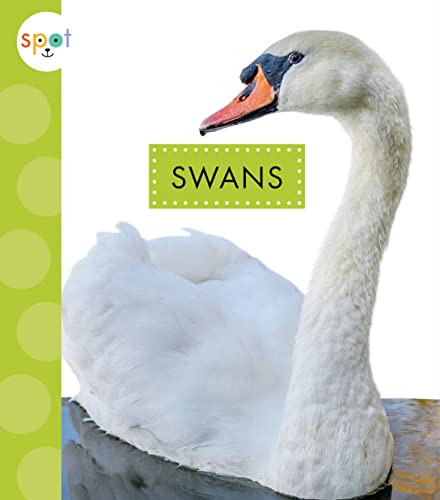 Swans (Spot Big Birds)
