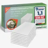 Exeta Gewächshausplatten 8mm I 8 Stk. Polycarbonat Hohlkammerplatten für Gewächshäuser I PC Doppelstegplatten UV-beständig & bruchsicher I für Garten, Frühbeet uvm I 60,5cm x 121cm I Transparent