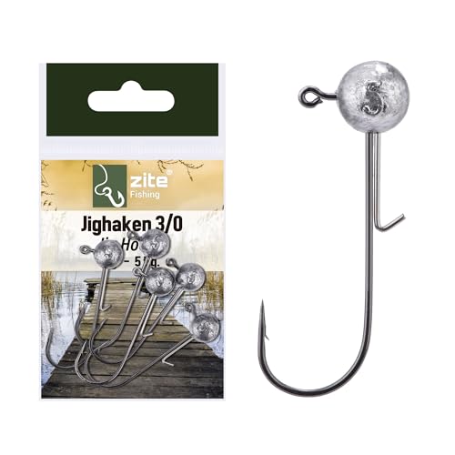 Zite Fishing Jigkopf-Sortiment 3/0 Verschiedenen Gewichte 5-25 g für Barsch bis Zander Raubfischfang (10, Gramm)