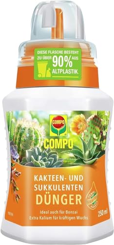 Compo Kakteendünger 250 ml