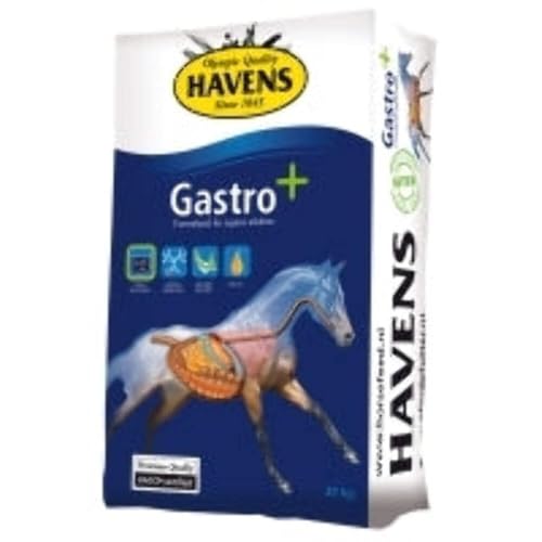 Havens Gastro+, 20 kg