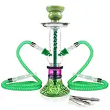 REANICE 11'' Shisha Wasserpfeife Hookah Set Glas Chicha Kit mit 2 Schläuche, Narghile Smokebox Bar Zubehör (Grün)