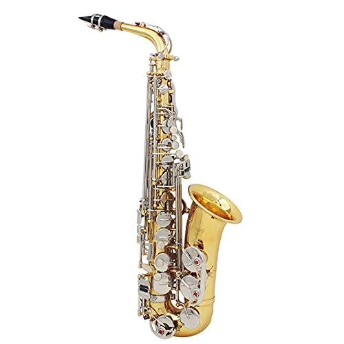 Btuty Alt-Saxophon Saxophon Sax Messing glänzend graviert Eb E-Flat Natur Weiß Muschel Knopf Blasinstrument mit Koffer Stummschaltung Handschuhe Reinigungstuch Gürtelbürste