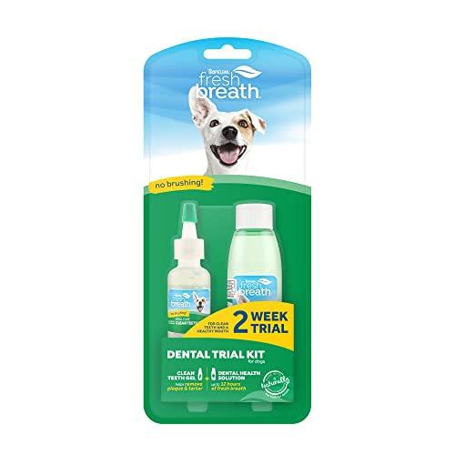 Fresh Breath von TropiClean Dental Trial Kit