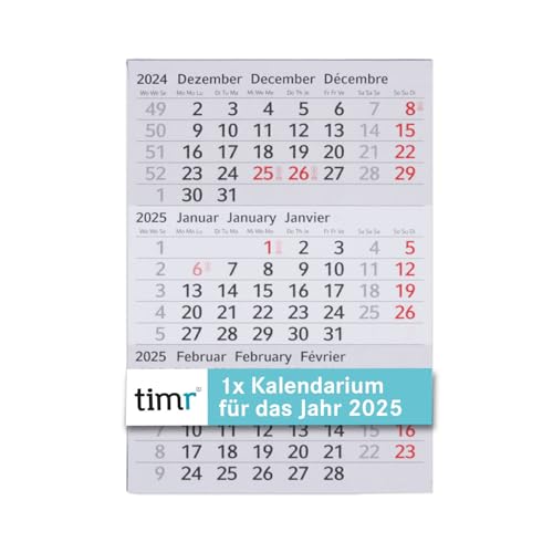 Timr Ersatz Kalendarium 2025 I magnetisch I für Tischkalender aus Edelstahl in gebürsteter Optik Geschenkidee für Freunde Familie I tr308