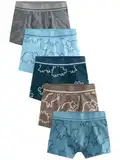 NEXT Unterhosen im 5er-Set Linear Dino Print 2-3 Jahre