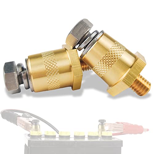 Batterieklemmen Batteriepoladapter Paar M6 mit Außengewinde, Auto Batterie Messing Poladapter Positive Negative, Batteriepolklemmen Adapter für Lithium-Autobatterien