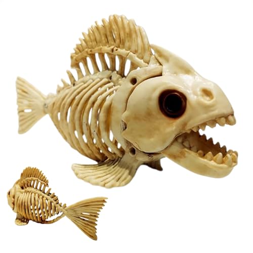 Generisch Fischskelettdekoration, Fischplätze, Kunst des Fischknochens des Schädels des Karpfentiers, Halloween -Fisch -Skelett -Tierknochen für das Schlafzimmer des Hauses