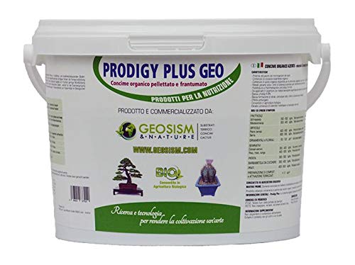 Prodigy Plus 1/3 mm (1 kg), körniger Dünger für Bonsai, Pflanzen und Blumen