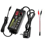 HOUHUI Universal Netzteil 3V~24V 3A 72W Einstellbares Netzteil AC/DC Verstellbarer Netzadapter, 100V-240V AC zu DC Adapter mit LED Spannungsanzeige, Krokodilklemme Testkabel