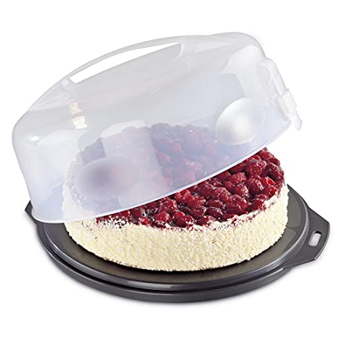 Xavax Kuchen-Transportbox rund mit Deckel Kuchenbehälter 31,5 cm Durchmesser, Innenhöhe 8 cm,Kuchenbox mit Stückeinteilungshilfe,Tortenplatte anthrazit, Transparent