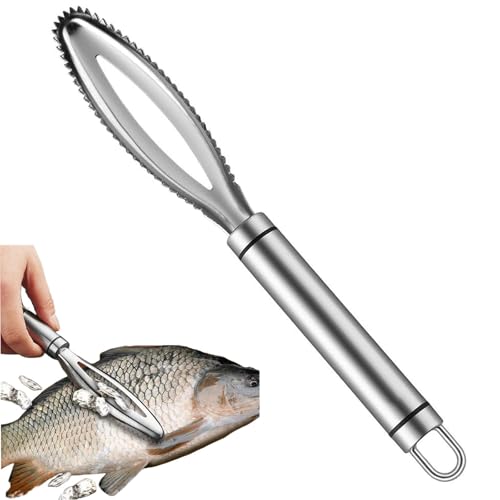 Profi Fischschuppen Entferner Edelstahl 304 - Fischentschupper mit Sicherheitsgriff & Extra-Scharfen Zacken, Rostfrei & Spülmaschinenfest - Für Garnelen, Lachs und Große Fische