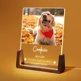 Jodimitty Personalisiert Gedenktafel für Haustiere Erinnerung LED Acrylglas mit Foto Hundandenken Geschenke Foto Haustier Bilderrahmen für Katze und andere Haustiere Tiere