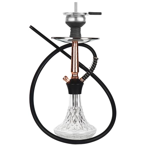 REANICE 45cm Shisha Set Chicha Wasserpfeife Hookah avec 1 Tuyau, verre Ensemble narguil¨¦ Hookah (Transparent)