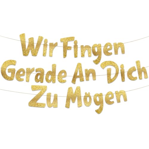 Goldenes Glitzer-Banner mit Aufschrift "Wir Fingen Gerade An Dich Zu Mogen" – Going Away Party – Umzugsparty – New Job – Will Miss You – Lustiges Partyzubehör für den Ruhestand, Geschenke und