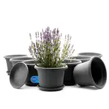 BigDean 8 Stück Blumentopf mit Untersetzer rund ø 25 cm Anthrazit – wetterfester Pflanzkübel Made in Europe