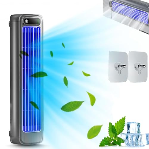 Brizac Klimaanlage, Brizac Cooling Ace, Brizac Luftkühler – Genießen Sie eine schnelle, natürliche und gesunde Abkühlung – Leiser tragbarer Klimaanlagen-Lüfter mit 3 Geschwindigkeiten (Grau)