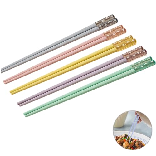 5 Paar Chinesische Stäbchen, Personalisiert Fiberglas Esstäbchen, Wiederverwendbare Essstäbchen, Spülmaschinenfest, Geschenkset für Zuhause Restaurant Camping