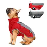 AXSPEED Hundebekleidung für Herbst und Winter, warm, gepolstert, wasserdichte Jacke (rot, M)