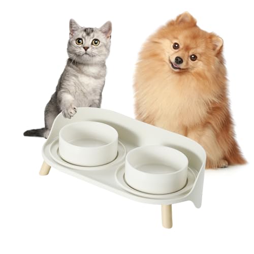 Hundenapf Set Erhöht Hunde Napfset - Doppel Fressnapf Hund Keramik mit Spritzschutz Ständer - Hundenäpfe 2er Set für Futter und Wasser - Futterstation für Kleine Hunde und Katzen - 2 x 300 ml - Weiß
