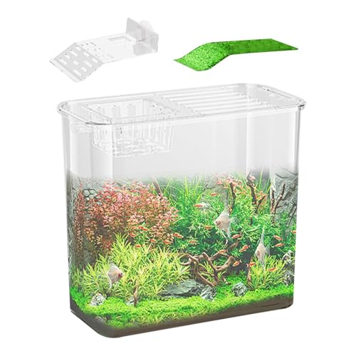 Schildkrötenpflege | Aquarien | Aquatischer Lebensraum | Reptilienzucht | Multifunktionsbereiche, Schildkrötentank-Starter, Zierfischglas, Aquarium-Starter für das Arbeitszimmer in der Küche