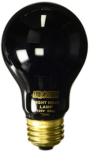 Exo Terra Night Heat Lamp, Mondscheinlampe für Reptilien und Amphibien, 50W, Fassung E27