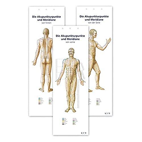 Akupunktur-Poster-Set: Darstellung sämtlicher Akupunkturpunkte von vorne/hinten/seitlich