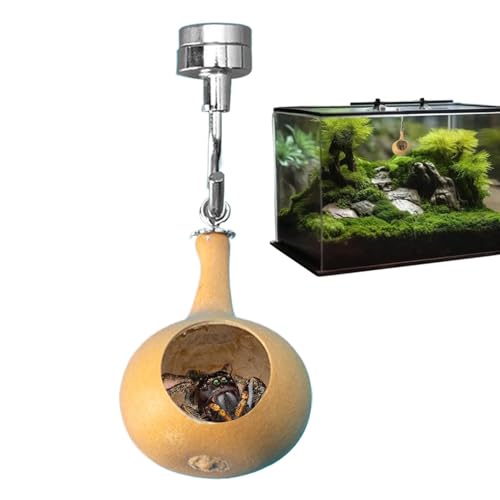 Jumping Spider Cave, Jumping Spider Hiding Nest, Jumping Spider Enclosure, Accessories Natural Gourds, Comfortable Spider Habitat, Easy to Use, Portable for Pet Spiders