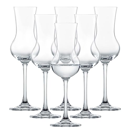 SCHOTT ZWIESEL Grappaglas Bar Special (6er-Set), klassische Schnapsgläser mit Stiel, spülmaschinenfeste Tritan-Kristallgläser, Made in Germany (Art.-Nr. 106225)