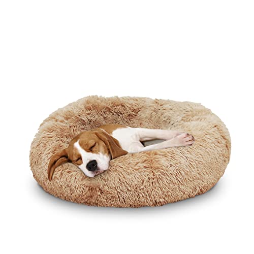 Mediashop Peaceful Pooch M - Flauschiges Hundebett & Katzenbett - gelenkschondendes Hundekissen - waschbarer Bezug - Hundekörbchen - Donut Kissen für Hunde & Katzen