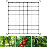 Scrog Netz 100x100,Hydroponic Nylon Pflanzennetzwerk Grow Netz 100x100 with 4 Hooks, Elastisches Mesh Zelt Ranknetz,Passend für Garten, Hof, Gartenarbeit (100 * 100cm)