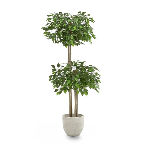 Maia Shop | Ficus | Kunstpflanzen | Künstlicher Baum | 2 Baumkronen | Maße: 150 x 60 cm | Künstliche Pflanzen | Fake Plant | Plastik Pflanze | Deko | Deko Wohnzimmer