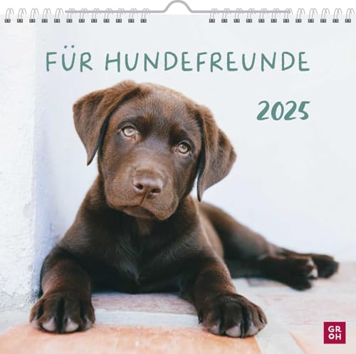 Wandkalender 2025: Für Hundefreunde: Hundekalender mit niedlichen Hundefotos und Zitaten für Hundeliebhaber. Monatskalender zum Aufhängen