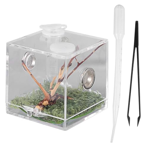 VILLCASE Springspinne Terrarium, Acryl Spinnen Terrarium Transparent Reptilien-Zuchtbox Schnecken Terrarium Reptile Fütterungsbox mit Pipette Zange für Spinnen, Crickets, Heuschrecken