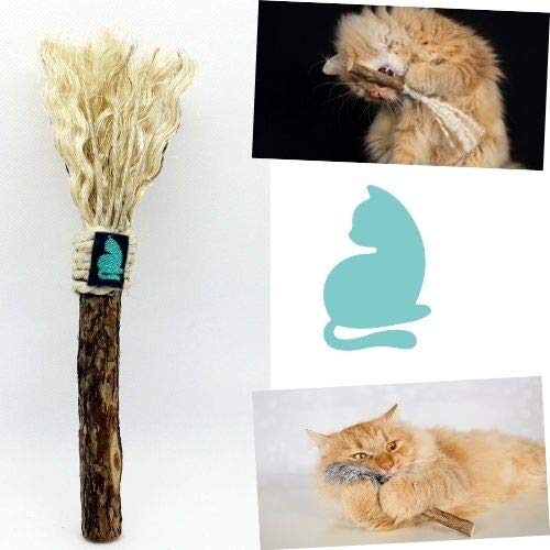 Barfeli Matatabi Katzenstab Stick mit Sisal - 100% Naturprodukt aus extra dickem Matatabi Holz - Katzen Zahnbürste - Katzenspielzeug - Katzenminze