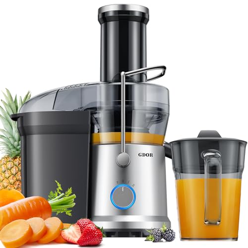 GDOR Entsafter 1300W Entsafter Gemüse und Obst mit Größerem 81mm Einfüllschacht für Ganze Früchte und Gemüse 1250ml Großer Saftkrug 3 Geschwindigkeiten Juicer Machine Leicht zu Reinigen Juicers Silber