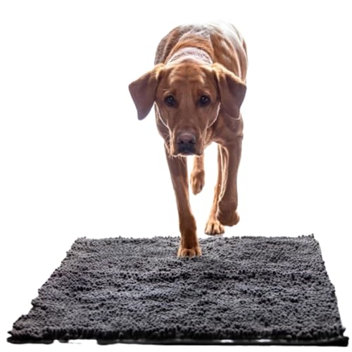 Schmutzfangmatte Hund,Premium cleany mat hundematte clean Matte Hunde Luxus Schmutzfangmatte für Haustiere - rutschfeste Waschbare Absorbermatte für Hund, Ideal für Innen Flur und Haustür