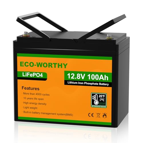 ECO-WORTHY LiFePO4 100Ah 12V Batterie mit BMS Low Temperature Schutz und 4000-15000 Zyklen, 1280Wh Lithiumbatterie für Wohnmobil,Solaranlage, Boot, Haushalt, Solarpanel Kit,Camping