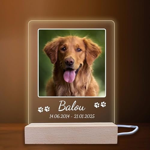 INDIGOS UG - LED Lampe personalisiert - Gedenktafel - hoch, Bild groß - Haustier, Hund, Katze - Wunschbild, Wunschtext - personalisierte Lampe - Geschenk, Familie - optionale Lampe warmweiß