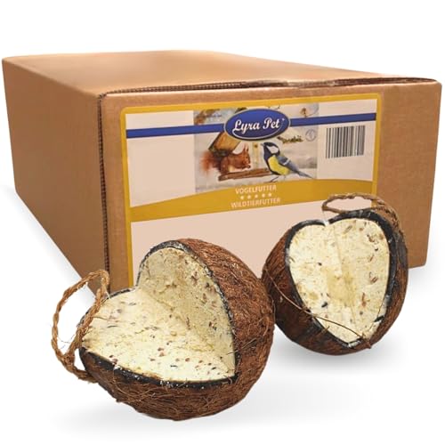 Lyra Pet® | 2 x 4 Ganze Kokosnüsse mit V-Cut Gefüllt | Energiereiches Vogelfutter | Kokosnuss mit fetthaltiger Füllung | Ganzjahres Fettfutter | Wie Meisenknödel | Nährstoffreiches Wildvogelfutter