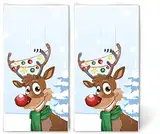 20 winterliche Taschentücher Weihnachten Rudi for Christmas - Rentier in Weihnachtsstimmung für Kinder und Erwachsene als Geschenk im Winter. 2 Packungen mit 10 einzelnen Papiertaschentücher.