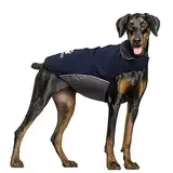 IREENUO Wasserdichter Hundemantel, Hundejacke Winter Winddichter Warmer Hunderegenmantel für Mittelgroße bis Große Hunde mit Sicheren Reflexstreifen und Verstellbarem Brustriemen (XL, Blue)