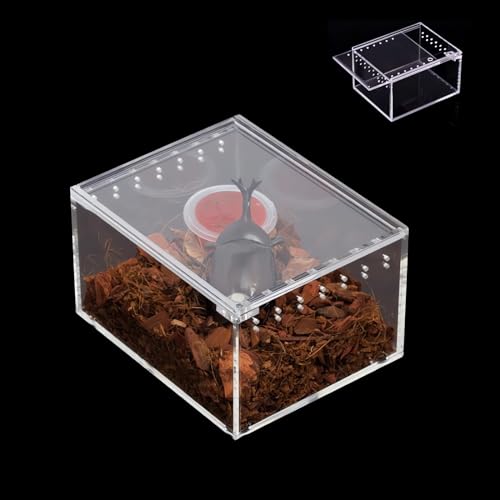 YZHZOM Mini Terrarium, Magnetisches Acryl heimchenbox, wasserdichtes Acrylgehäuse Reptile Fütterungsbox für Spide, Skorpion, Gehörnte Frösche, Haustierschlangen (10x8.5x6cm)