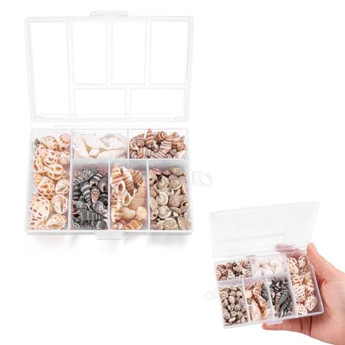 TUKNN Muscheln, Deko Muscheln, Muscheln Deko, Muscheln zum Basteln, Muscheln zum Auffädeln, Shells Mixed, Spiral Muschel Perlen Ungebohrt, Muscheln Gemischt, Strandmuscheln, Bastelmuscheln, 100 Stück