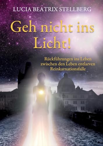 Geh nicht ins Licht!: Rückführungen ins Leben zwischen den Leben entlarven Reinkarnationsfalle