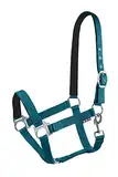Start Halfter Pferd verstellbar – Nylon Halfter mit Polsterung – Größen: Pony, Cob, Warmblut – Komfortabel & Robust – Pferdehalfter für Stall & Weide (Petrolblau, Cob)