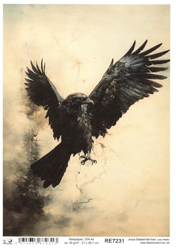 Josys Bastelmärchen Reispapier DIN A4 Strohseide Decoupage Einheimische Vögel Vogel Rabe RE7231