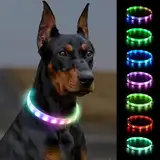 Joytale Leuchthalsband Hund, Hundehalsband Leuchtend Aufladbar, Längenverstellbar Led Hundehalsband mit 9 Leuchtmodi, Regendicht Hunde Leuchthalsband für Kleine Mittlere Große Hunde, 70 cm